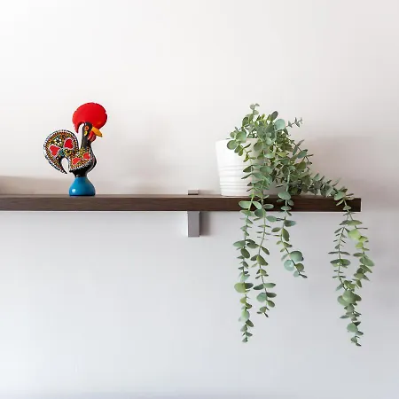 Foz Sunshine Apartamento Caminha