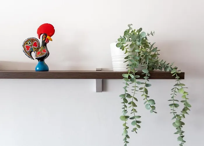 Foz Sunshine Daire Caminha