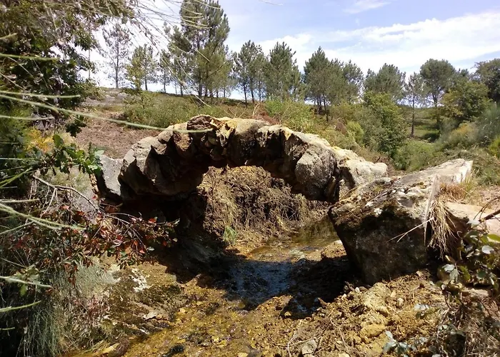 Foz Sunshine 아파트 *